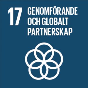 Agenda 2030 - Genomförande och globalt partnerskap